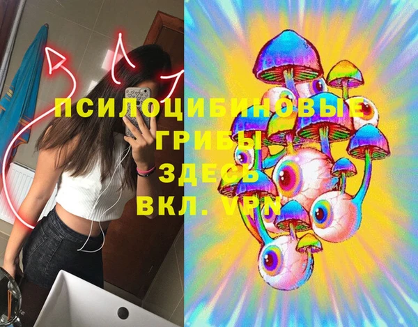 круглые Богородицк