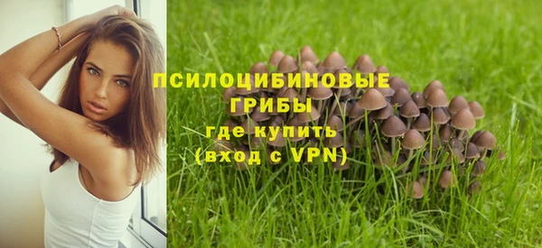 синтетический гашиш Богданович