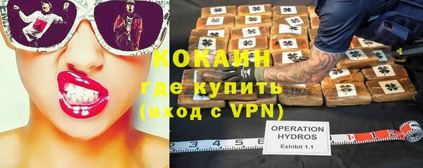 стафф Богородск