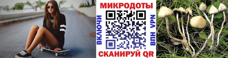 Псилоцибиновые грибы Psilocybe  Купить где  Озёры 